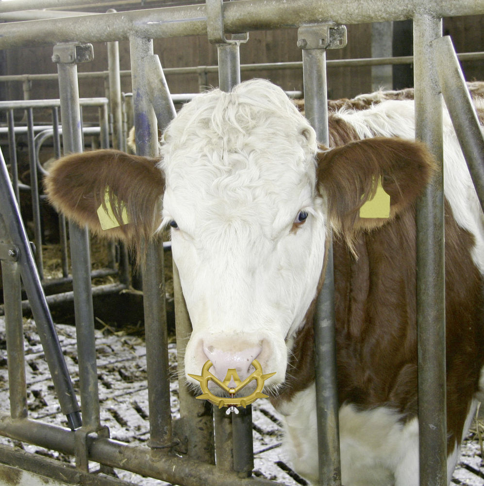 Telepellato Szopásgátló műa. Müller 2010 13151+2