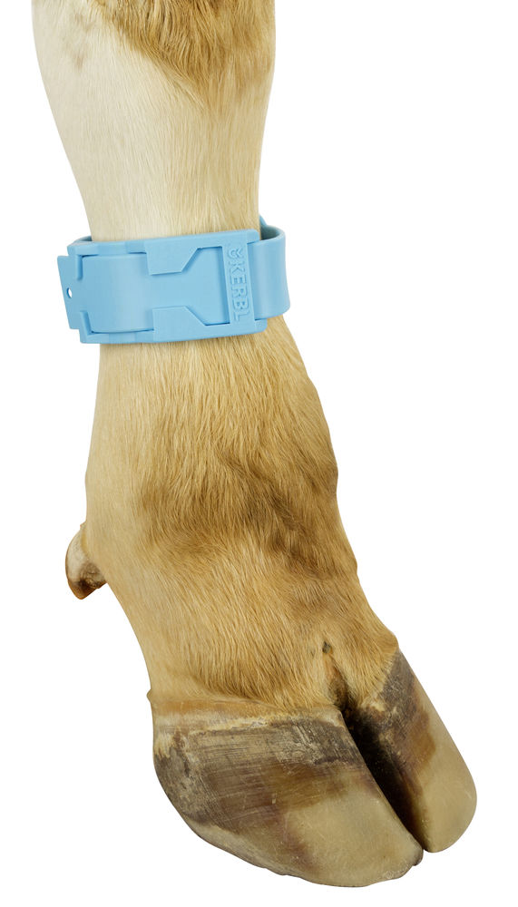 Bokacsat műanyag kék