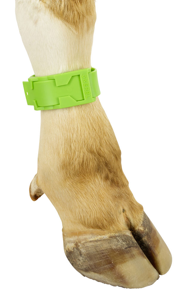 Bokacsat műanyag zöld