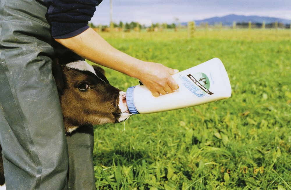 Speedy Feeder itató edény 2,5 literes