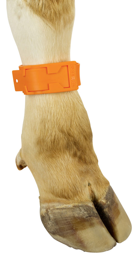 Bokacsat műanyag narancs