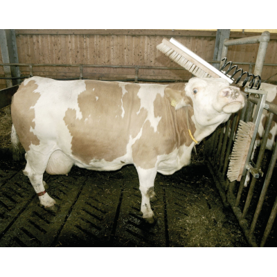 Canexpol Texas Marhavakaró kefe