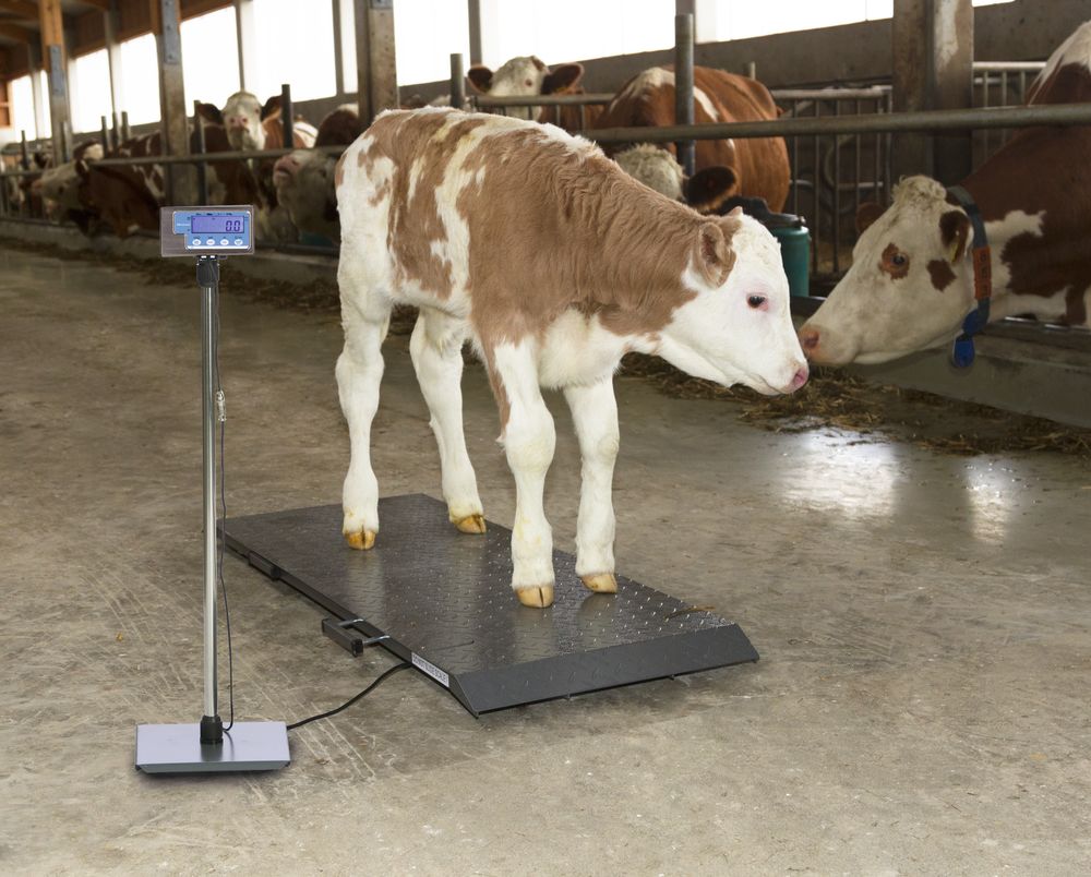 ps1000-allatmerleg-500-kg-ig_VcFvoPNkRL