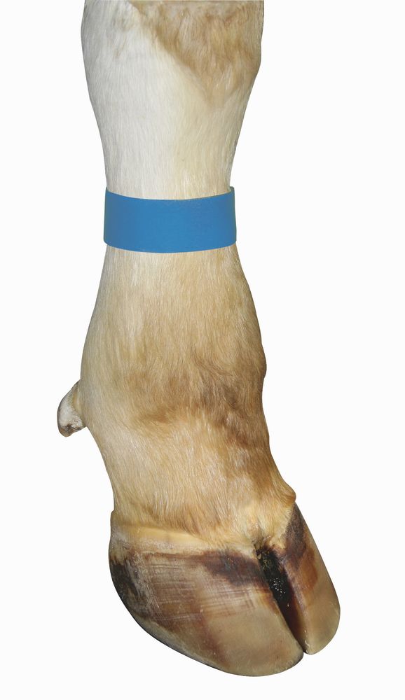 telepellato-tepozaras-bokacsat-kek-10-dbdoboz-208932