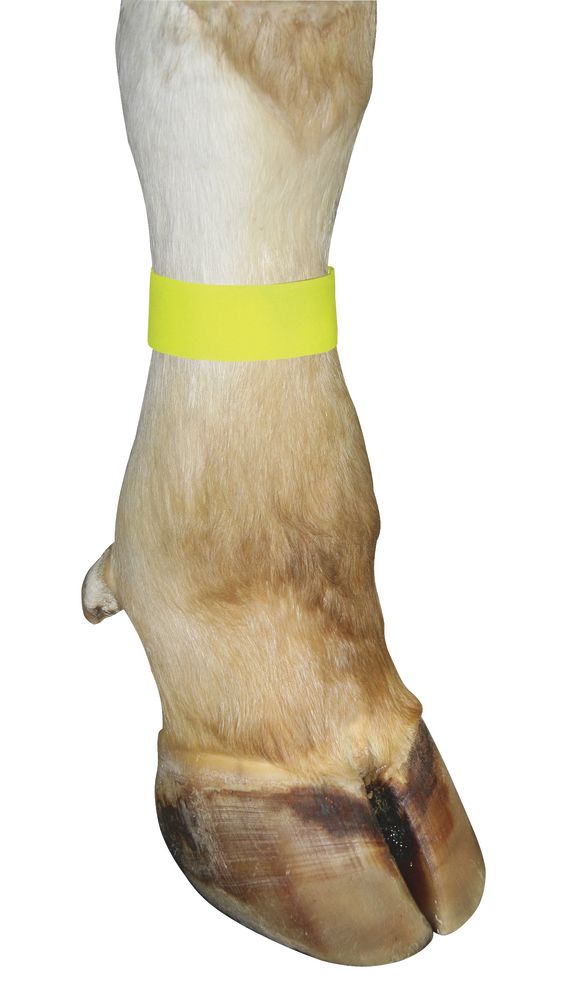 telepellato-tepozaras-bokacsat-sarga-10-dbdoboz-20892