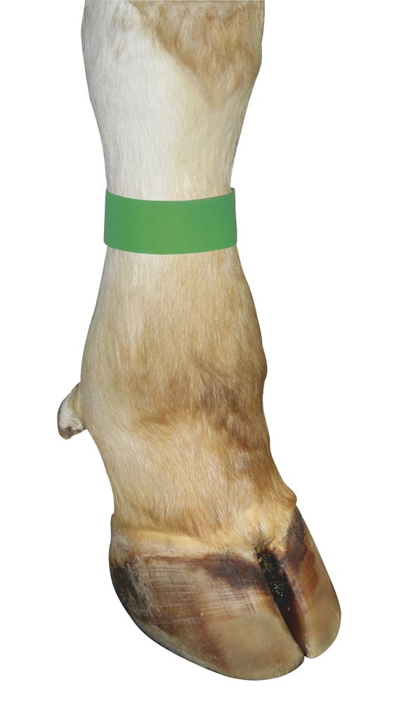 telepellato-tepozaras-bokacsat-zold-10-dbdoboz-208942