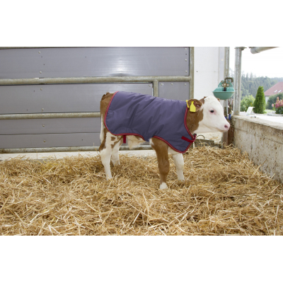 Thermoplus borjútakaró, 80 cm