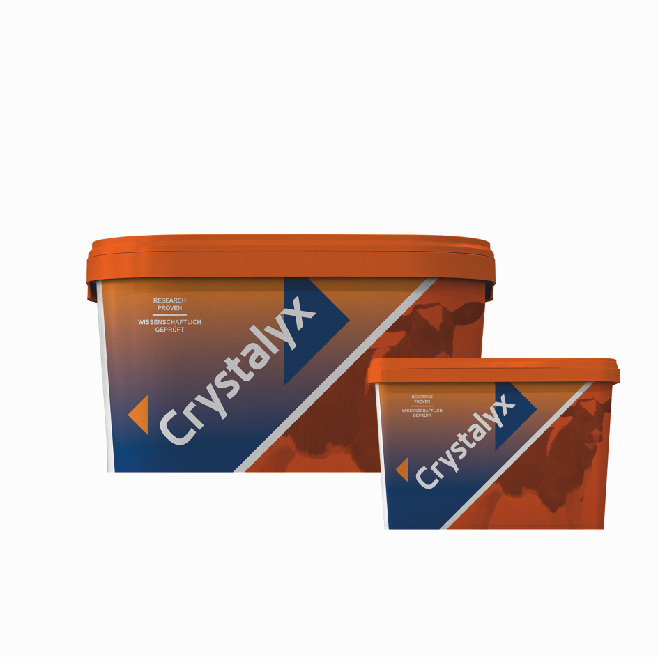 CRYSTALYX Mentholyx 5 kg borjaknak, bárányoknak, gidáknak