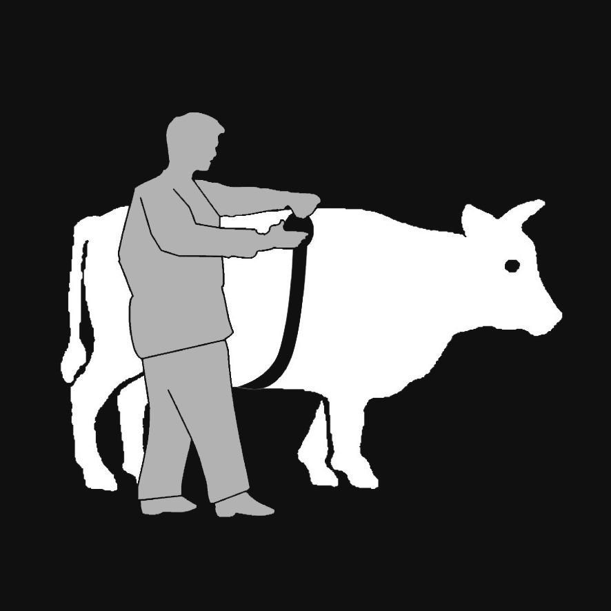 allatmero-szalag_FpJsP9M4QM