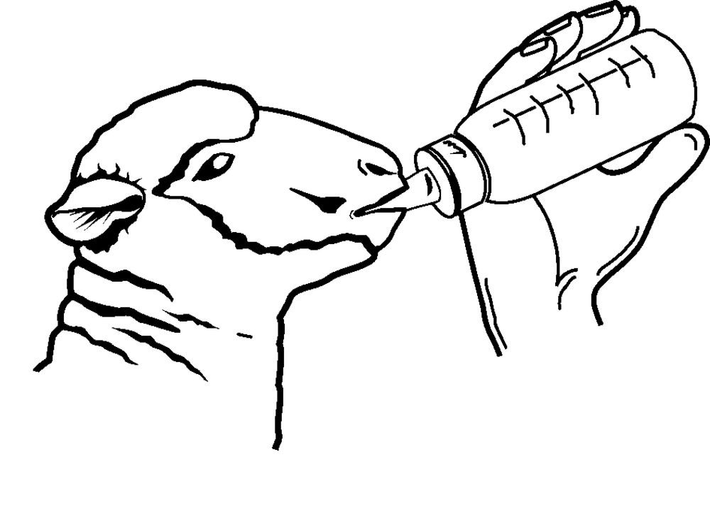 baranyitato-cumi-anti-vac_u2Il1qlR9S