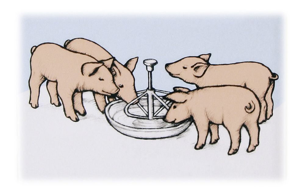 cseszes-malactal-nemesacel-25-cm_DgDqrsm6Y9