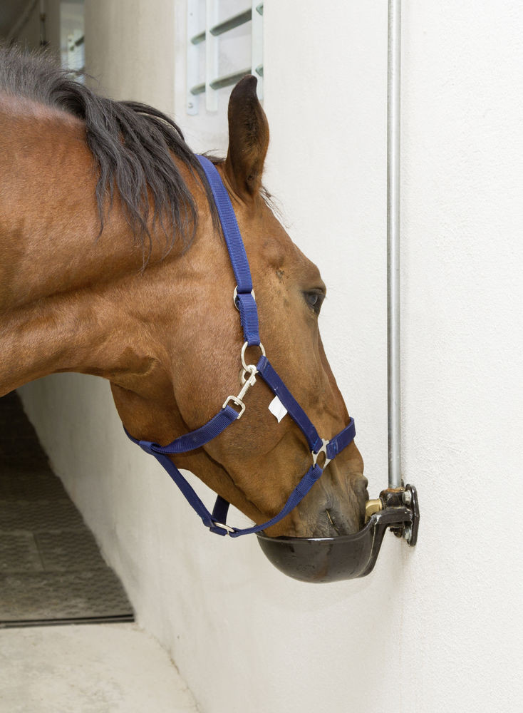 itato-csoszelepes-ontottvas-g51-aqhcraajor-medialibrary-original-734-1000