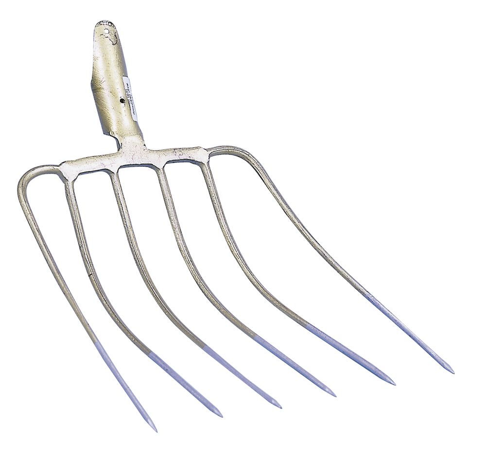 Vasvilla 6 ágú, kukorica