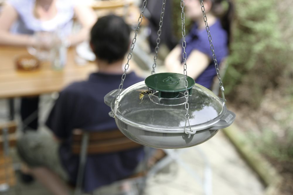 Telepellato Darázscsapda 299849.2