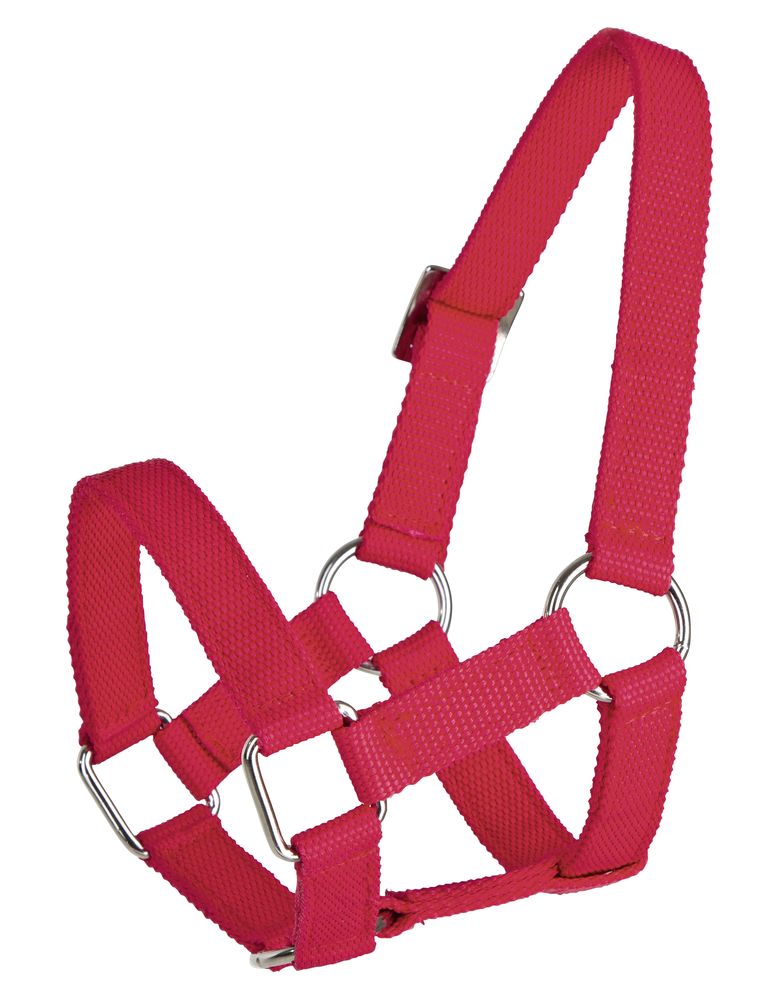 Birka fejző (kötőfék) polipropilén, piros